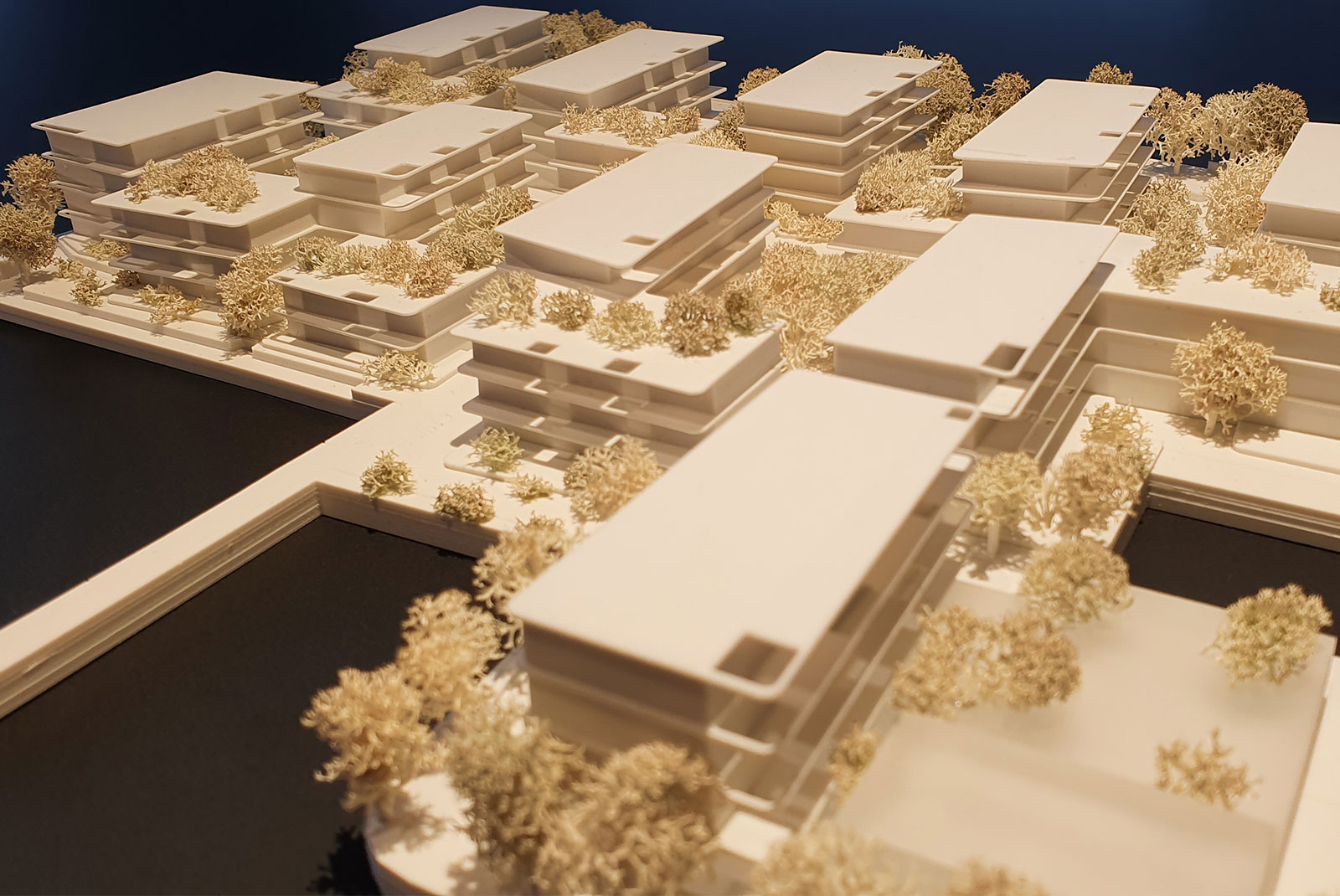 Wohnbau Bachstrasse für  HÖ von Jürgen MATZER Architekten